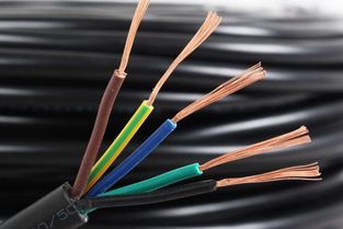 WDZBN-BYJ電線詳解 特性、應(yīng)用與行業(yè)認(rèn)知